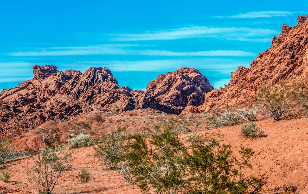 A desert landscape with red rocks and bushes.